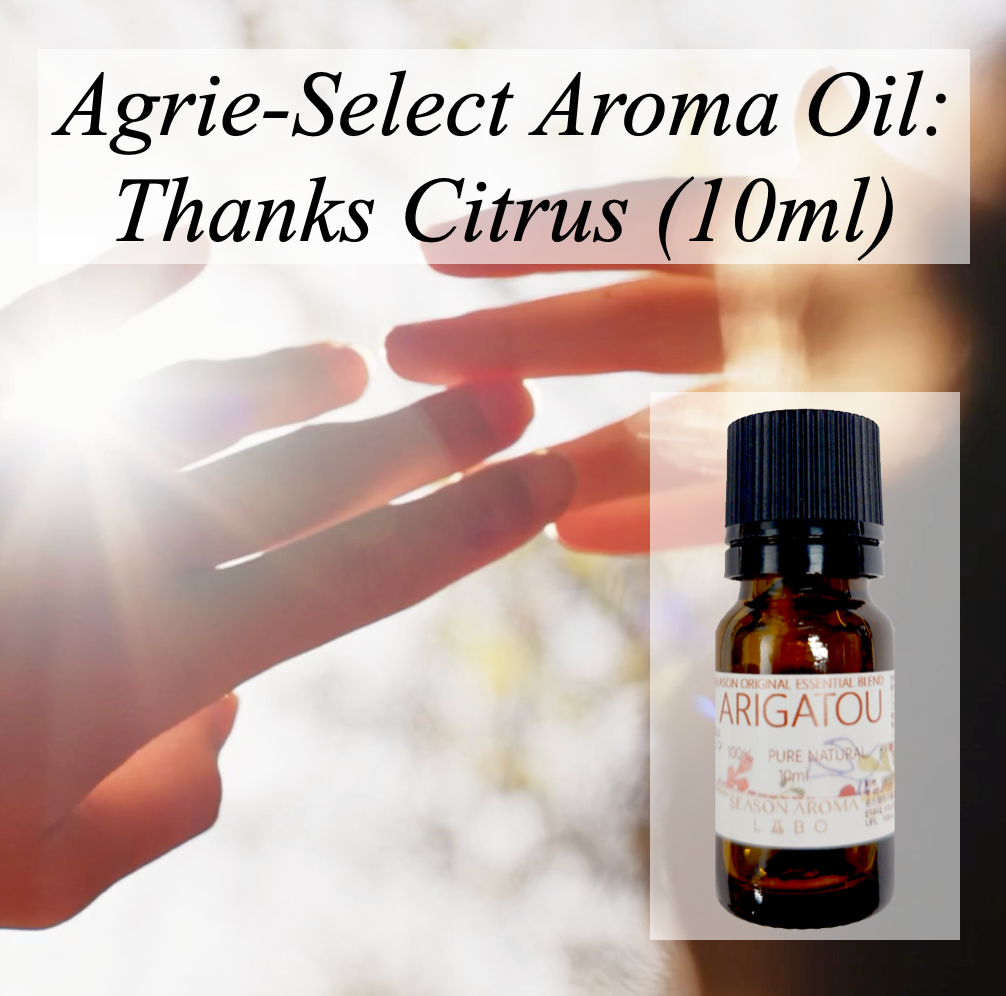 Agrie Select Aromatherapy Oils: Relaxation Set (10 ml × 3)