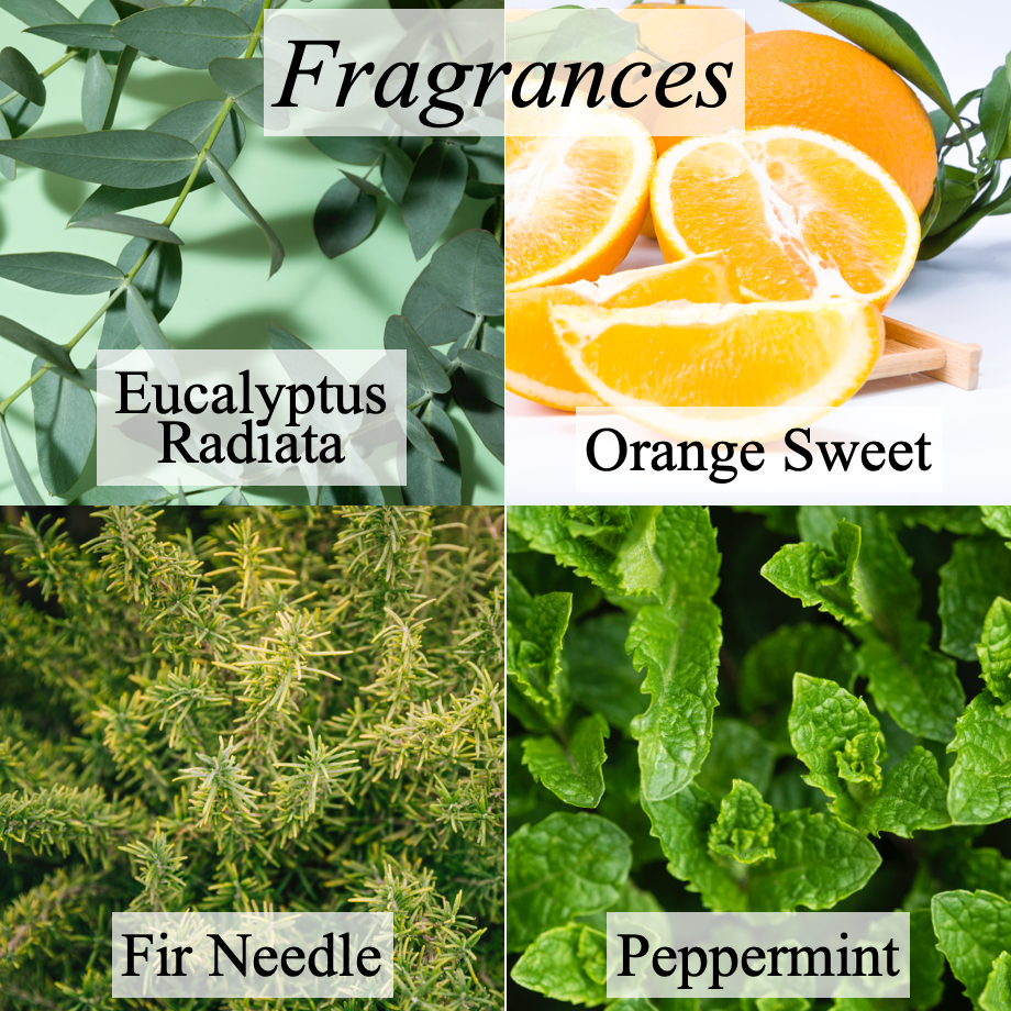 Agrie Select Aromatherapy Oil: Refresh Citrus (10 ml)