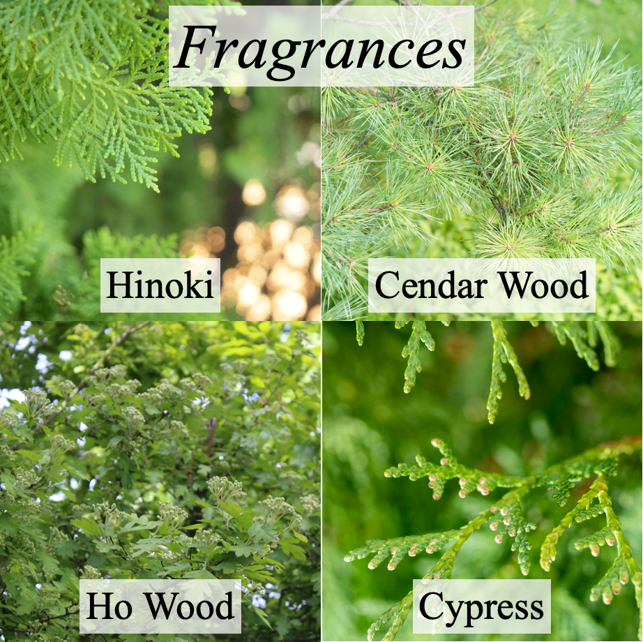 Agrie Select Aromatherapy Oil: Ho-wood (10 ml)