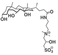 Twitter ionic cholic surfactant (CAPSO)