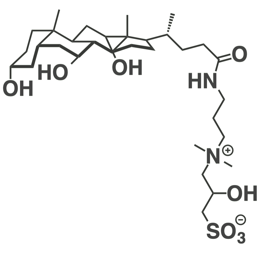 Twitter ionic cholic surfactant (CAPSO)