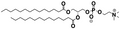 14:0/14:0 Phosphocholine (DPPC)