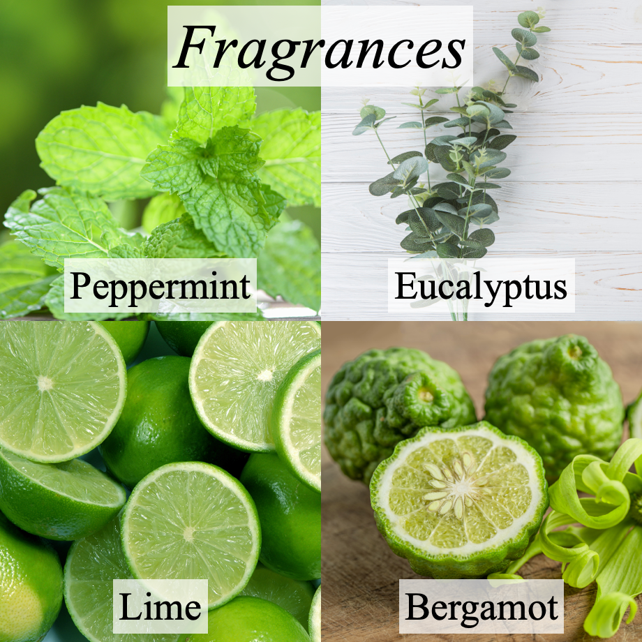 Agrie Select Aromatherapy Oil: Sanitary Mint (5 ml)