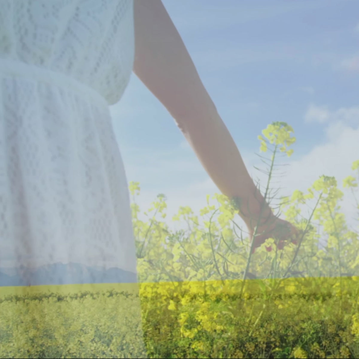 Agrie Select Aromatherapy Oils: Relaxation Set (10 ml × 3)